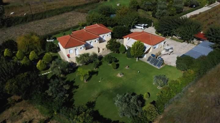 Katerina House Διαμέρισμα Φοινικούντα Εξωτερικό φωτογραφία