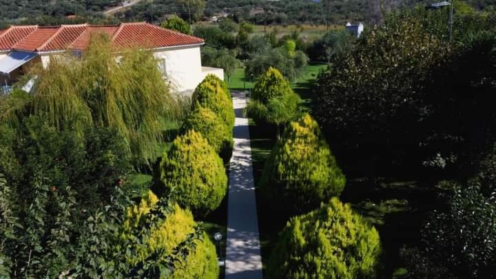 Katerina House Διαμέρισμα Φοινικούντα Εξωτερικό φωτογραφία